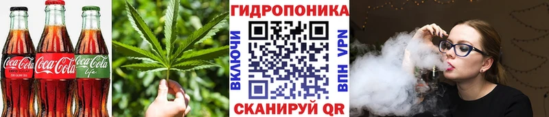 Canna-Cookies марихуана  omg ссылки  Купино 