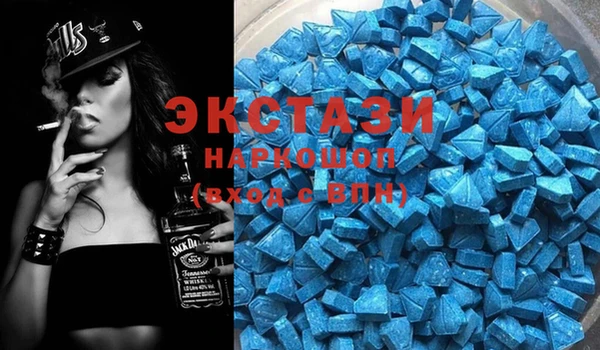 гидра Богданович