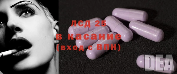 эйфоретик Белокуриха