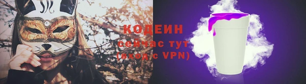 гидра Богданович