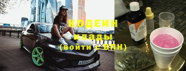 гидра Богданович
