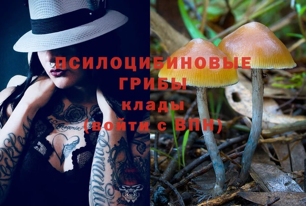 хмурый Белоозёрский
