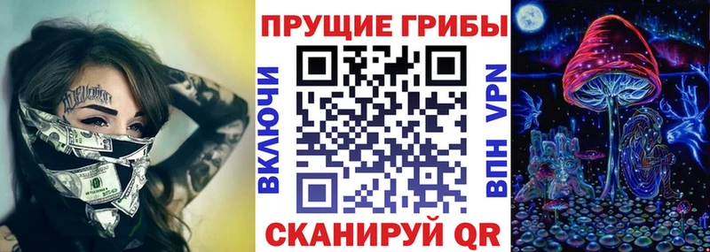 Галлюциногенные грибы прущие грибы  Купино 